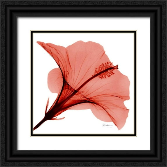 Koetsier, Albert 12x12 Black Ornate Wood Framed with Double Matting Museum Art Print Titled - Close Up of Red Beauty 2