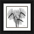 thumbnail image 1 of Koetsier, Albert 12x12 Black Ornate Wood Framed with Double Matting Museum Art Print Titled - Flamingo 2, 1 of 4