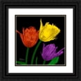 thumbnail image 1 of Koetsier, Albert 12x12 Black Ornate Wood Framed with Double Matting Museum Art Print Titled - Shiny Jewel Tulips 4, 1 of 4