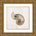 thumbnail image 1 of Koetsier, Albert 12x12 Gold Ornate Wood Framed with Double Matting Museum Art Print Titled - Brown Shell Pair, 1 of 4