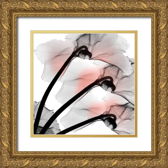 Koetsier, Albert 12x12 Gold Ornate Wood Framed with Double Matting Museum Art Print Titled - Coral Luster Cyclamen 2