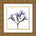 thumbnail image 1 of Koetsier, Albert 12x12 Gold Ornate Wood Framed with Double Matting Museum Art Print Titled - Crocuss in Purple, 1 of 4