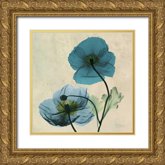 Koetsier, Albert 12x12 Gold Ornate Wood Framed with Double Matting Museum Art Print Titled - Iceland Poppy