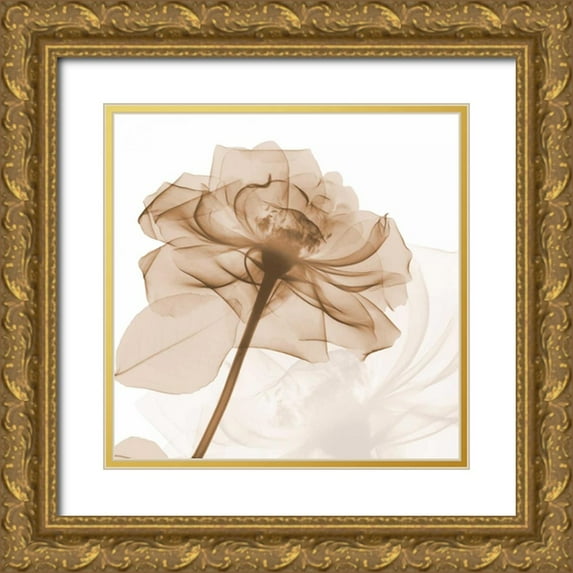 Koetsier, Albert 12x12 Gold Ornate Wood Framed with Double Matting Museum Art Print Titled - Mocha Rose