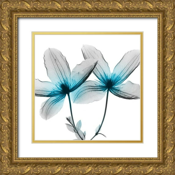 Koetsier, Albert 12x12 Gold Ornate Wood Framed with Double Matting Museum Art Print Titled - Vibrant Clematis 2