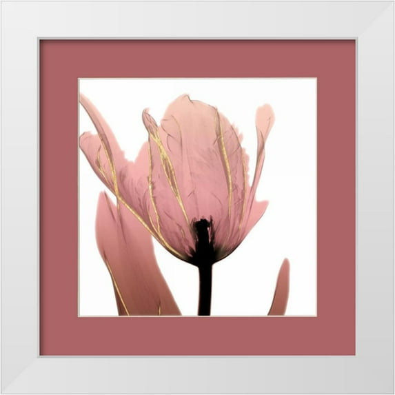 Koetsier, Albert 12x12 White Modern Wood Framed Museum Art Print Titled - Alizarin Splendor 1 Border