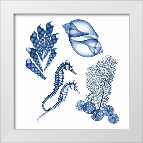 Koetsier, Albert 12x12 White Modern Wood Framed Museum Art Print Titled - Blue Assortment One