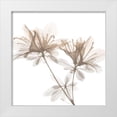 thumbnail image 1 of Koetsier, Albert 12x12 White Modern Wood Framed Museum Art Print Titled - Dry Azalea 2, 1 of 4