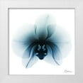 thumbnail image 1 of Koetsier, Albert 12x12 White Modern Wood Framed Museum Art Print Titled - Glacial Orchid 1, 1 of 4