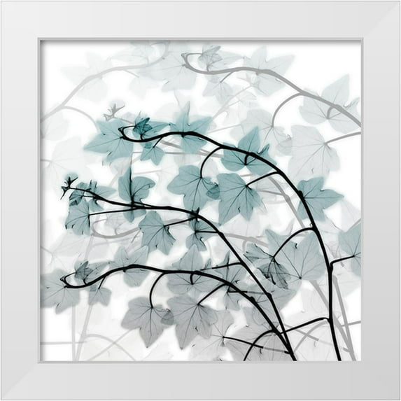 Koetsier, Albert 12x12 White Modern Wood Framed Museum Art Print Titled - Icy Transformation