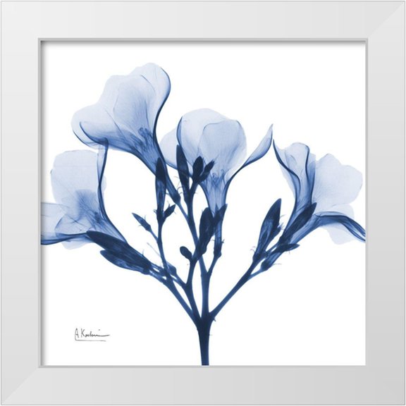 Koetsier, Albert 12x12 White Modern Wood Framed Museum Art Print Titled - Indigo Oleander