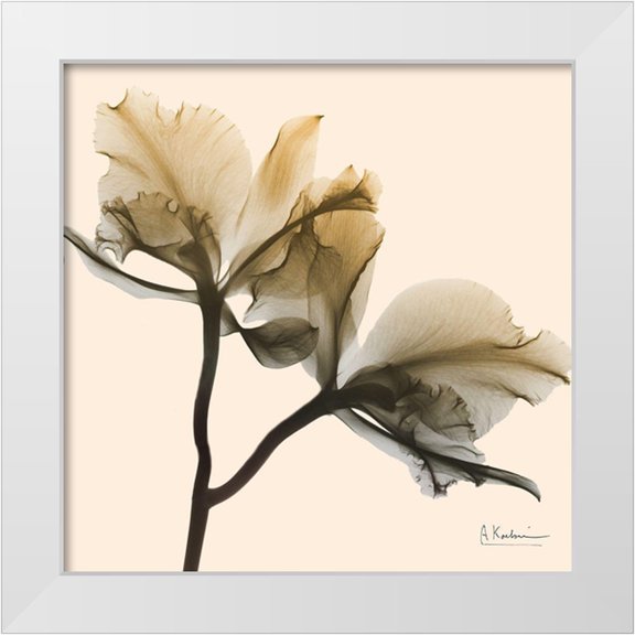 Koetsier, Albert 12x12 White Modern Wood Framed Museum Art Print Titled - Neutral Twins 1