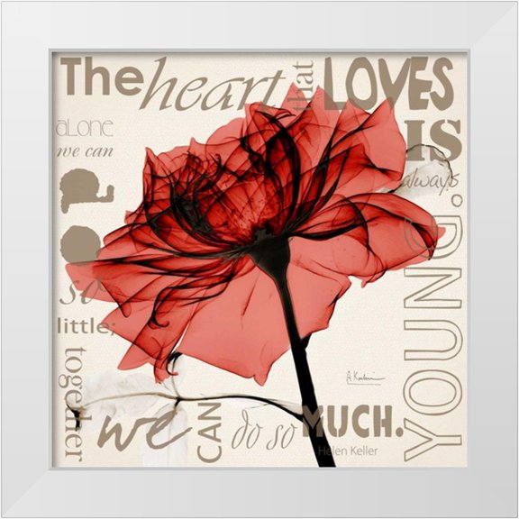 Koetsier, Albert 12x12 White Modern Wood Framed Museum Art Print Titled - Red Rose Love