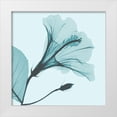 thumbnail image 1 of Koetsier, Albert 12x12 White Modern Wood Framed Museum Art Print Titled - Saphire Love Hibiscus, 1 of 4