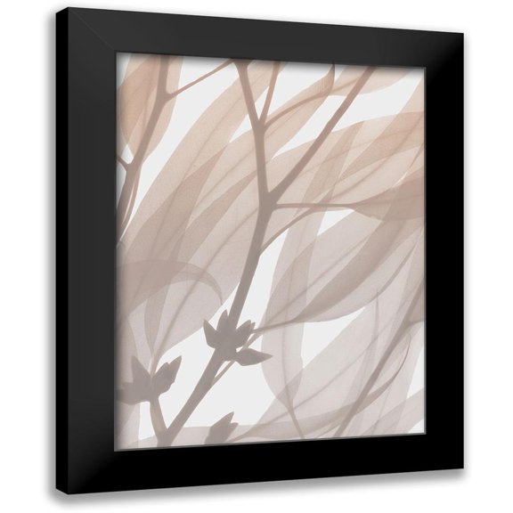 Koetsier, Albert 12x14 Black Modern Framed Museum Art Print Titled - Desert Passion 1