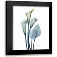 thumbnail image 1 of Koetsier, Albert 12x14 Black Modern Framed Museum Art Print Titled - Gold Splash Calla Lily 2, 1 of 5