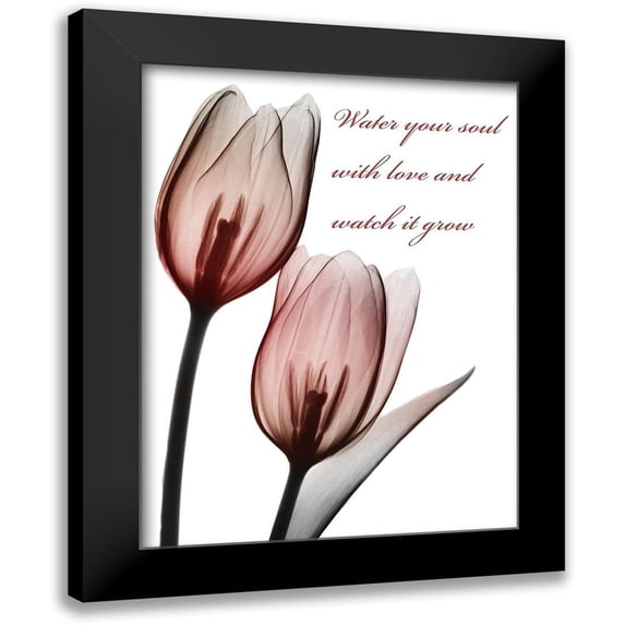 Koetsier, Albert 12x14 Black Modern Framed Museum Art Print Titled - Growing Love