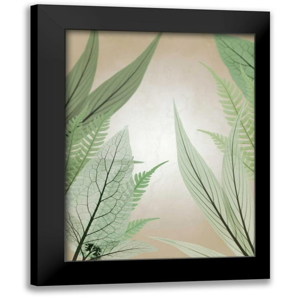 Koetsier, Albert 12x14 Black Modern Framed Museum Art Print Titled - Jungle Cruise