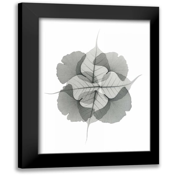 Koetsier, Albert 12x14 Black Modern Framed Museum Art Print Titled - Kaleidoscope Sinko