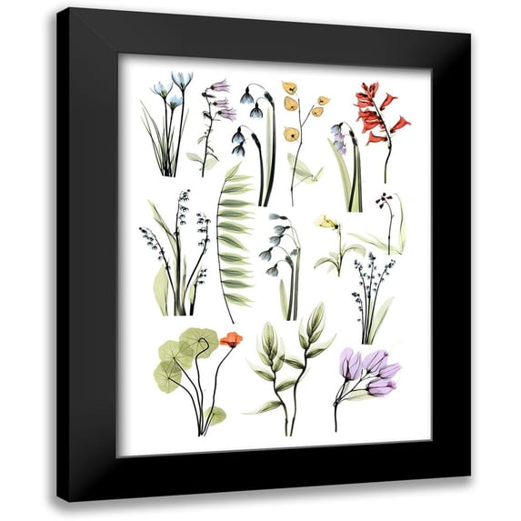 Koetsier, Albert 12x14 Black Modern Framed Museum Art Print Titled - Mini Zen Garden 1