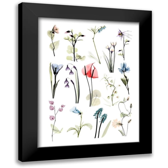 Koetsier, Albert 12x14 Black Modern Framed Museum Art Print Titled - Mini Zen Garden 2