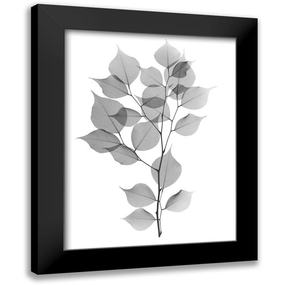 Koetsier, Albert 12x14 Black Modern Framed Museum Art Print Titled - Myrtle Tree L182