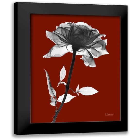 Koetsier, Albert 12x14 Black Modern Framed Museum Art Print Titled - Red Rose