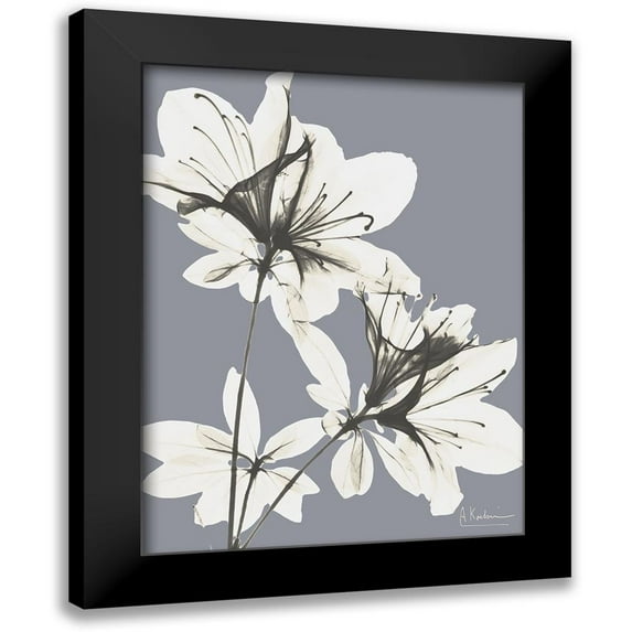 Koetsier, Albert 12x14 Black Modern Framed Museum Art Print Titled - Splendid Autumn Beauty 1