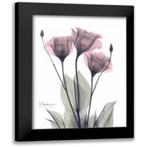 Koetsier, Albert 12x14 Black Modern Framed Museum Art Print Titled - Three Gentian in Color