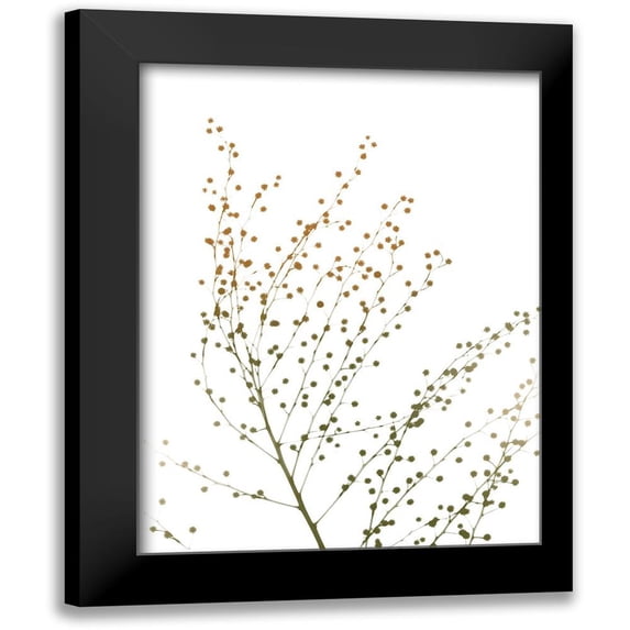 Koetsier, Albert 12x14 Black Modern Framed Museum Art Print Titled - Urban And Delicate