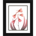thumbnail image 1 of Koetsier, Albert 12x14 Black Ornate Wood Framed with Double Matting Museum Art Print Titled - Burning Phoenix 2, 1 of 4