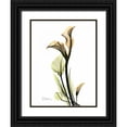 thumbnail image 1 of Koetsier, Albert 12x14 Black Ornate Wood Framed with Double Matting Museum Art Print Titled - Calla Lily Duo, 1 of 4