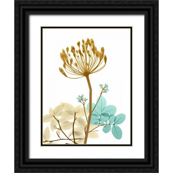 Koetsier, Albert 12x14 Black Ornate Wood Framed with Double Matting Museum Art Print Titled - Desert Bloom 2