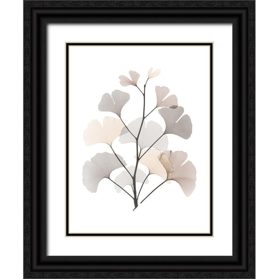 Koetsier, Albert 12x14 Black Ornate Wood Framed with Double Matting Museum Art Print Titled - Desert Ginko