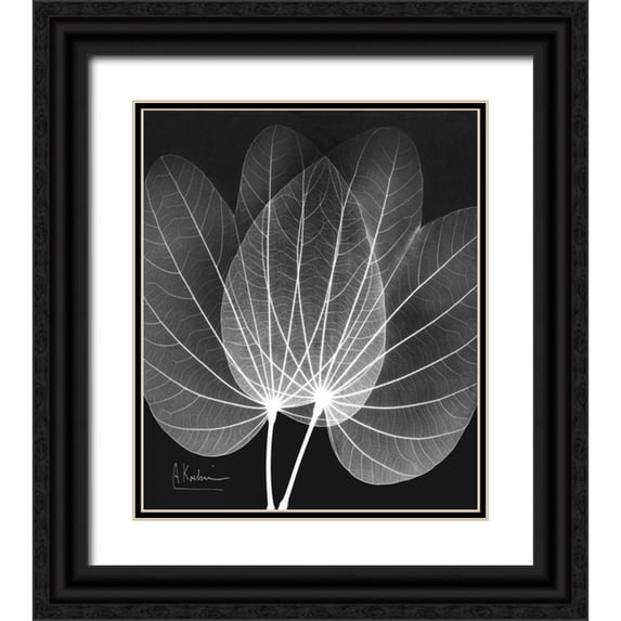 Koetsier, Albert 12x14 Black Ornate Wood Framed with Double Matting Museum Art Print Titled - Extravagant Orchid Tree