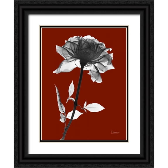Koetsier, Albert 12x14 Black Ornate Wood Framed with Double Matting Museum Art Print Titled - Red Rose