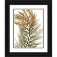 thumbnail image 1 of Koetsier, Albert 12x14 Black Ornate Wood Framed with Double Matting Museum Art Print Titled - Urban Incense Cedar, 1 of 4