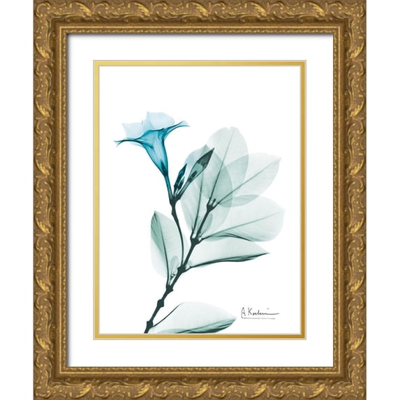 Koetsier, Albert 12x14 Gold Ornate Wood Framed with Double Matting Museum Art Print Titled - Aqua Mandelilla