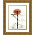 thumbnail image 1 of Koetsier, Albert 12x14 Gold Ornate Wood Framed with Double Matting Museum Art Print Titled - Chrysanthemum for Chrissy, 1 of 4