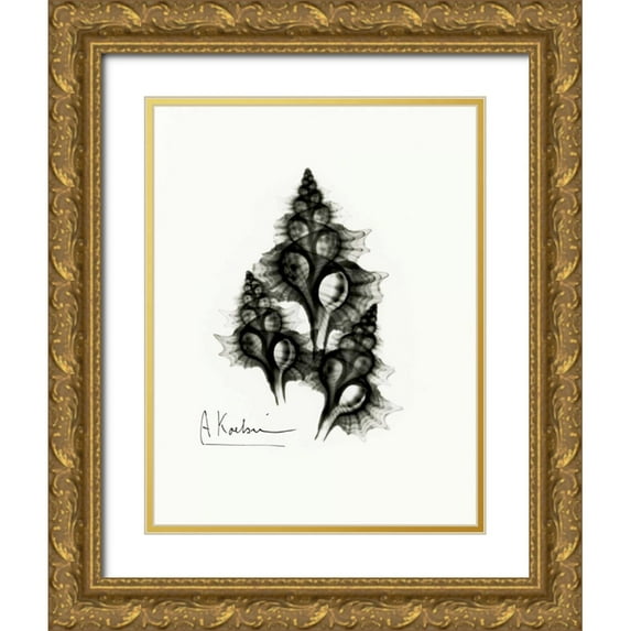 Koetsier, Albert 12x14 Gold Ornate Wood Framed with Double Matting Museum Art Print Titled - Frog Shells