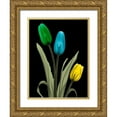 thumbnail image 1 of Koetsier, Albert 12x14 Gold Ornate Wood Framed with Double Matting Museum Art Print Titled - Jeweled Tulip Trio 3, 1 of 4