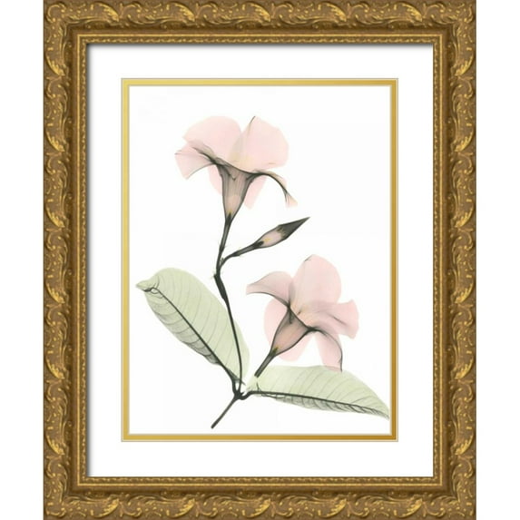 Koetsier, Albert 12x14 Gold Ornate Wood Framed with Double Matting Museum Art Print Titled - Mandelilla