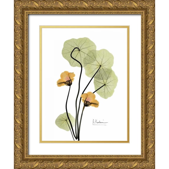 Koetsier, Albert 12x14 Gold Ornate Wood Framed with Double Matting Museum Art Print Titled - Nasturtium in Yellow 2