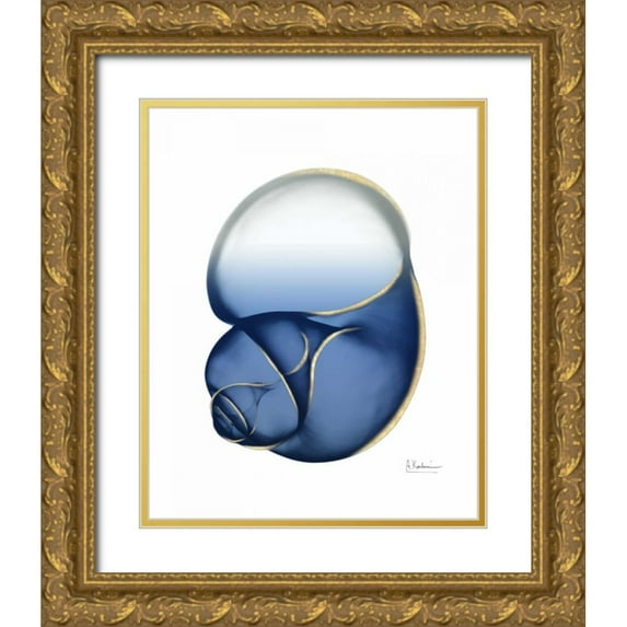 Koetsier, Albert 12x14 Gold Ornate Wood Framed with Double Matting Museum Art Print Titled - Shimmering Indigo Snail 1