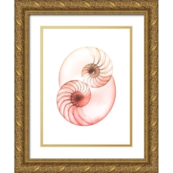 Koetsier, Albert 12x14 Gold Ornate Wood Framed with Double Matting Museum Art Print Titled - Sunset Shell 1