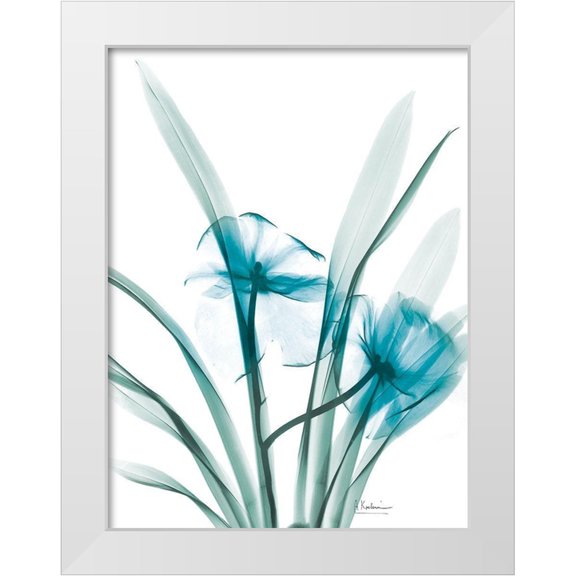 Koetsier, Albert 12x14 White Modern Wood Framed Museum Art Print Titled - Aqua Dedrodium Orchid