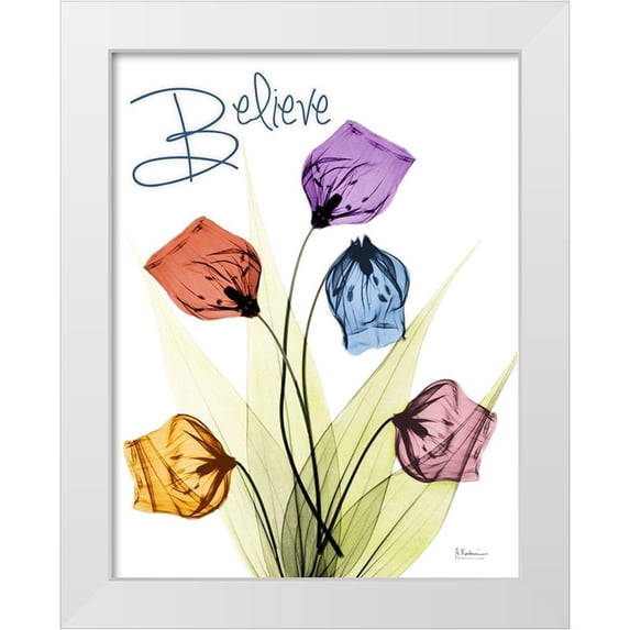 Koetsier, Albert 12x14 White Modern Wood Framed Museum Art Print Titled - Believing Sandersonia
