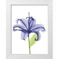 thumbnail image 1 of Koetsier, Albert 12x14 White Modern Wood Framed Museum Art Print Titled - Rowdy Opening Beauty, 1 of 4