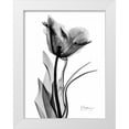 thumbnail image 1 of Koetsier, Albert 12x14 White Modern Wood Framed Museum Art Print Titled - Single Tulip in BandW, 1 of 4