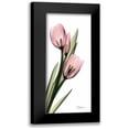 thumbnail image 1 of Koetsier, Albert 12x24 Black Modern Framed Museum Art Print Titled - Tulips in Pink, 1 of 5